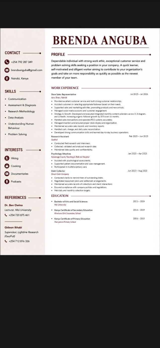 Professional CV writing