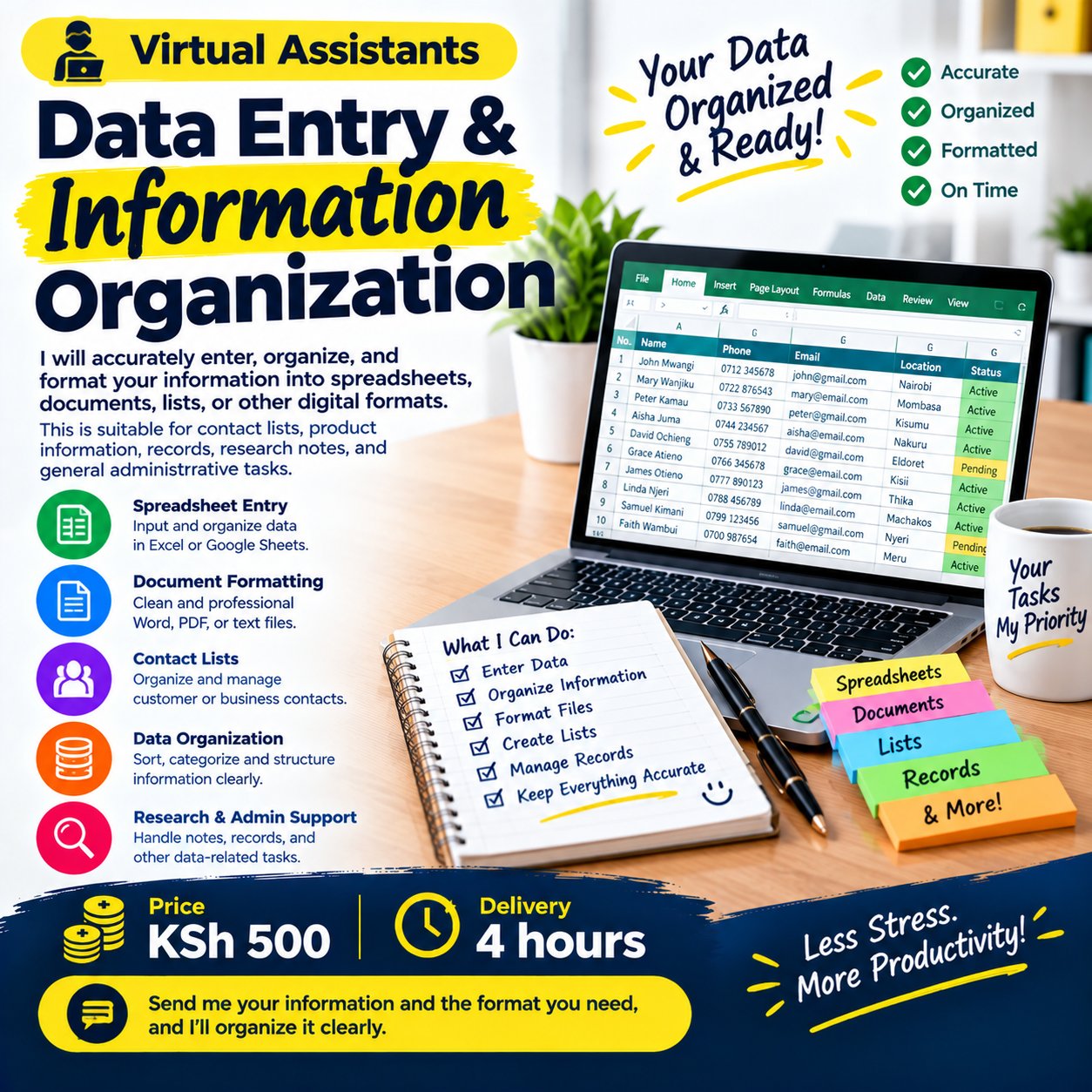Data Entry & Information Organization