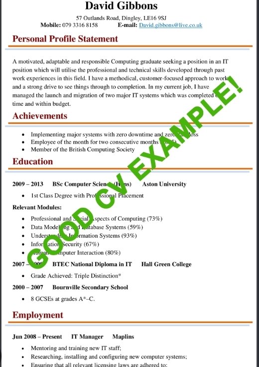 Professional CV writing